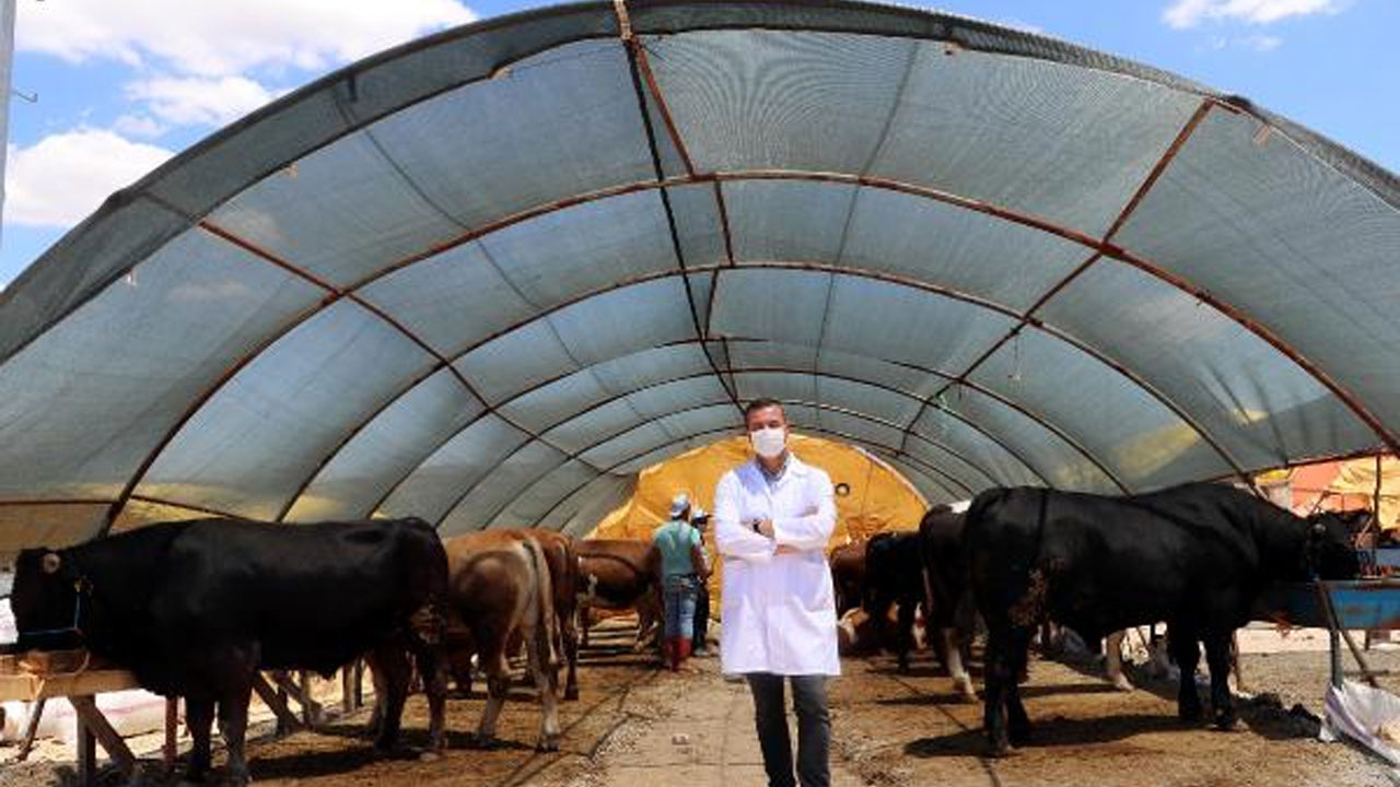 2022 kurbanlık fiyatları büyükbaş hisse fiyatı kaç para oldu?