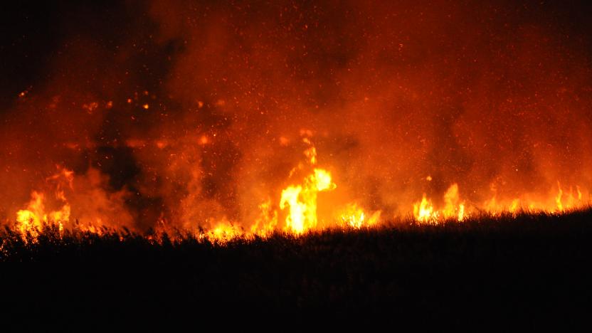 Mersin Taşucu Göksu Deltası’nda yangın çıktı