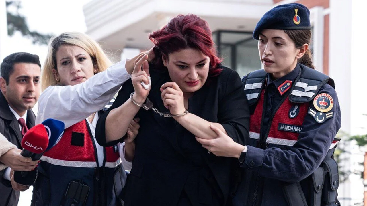 ‘Yenidoğan Çetesi’ soruşturmasında kronolojik sıralama!