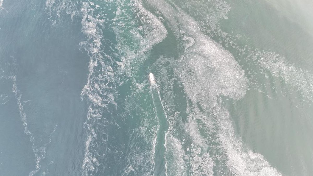 Çanakkaleli balıkçılara müsilaj engeli