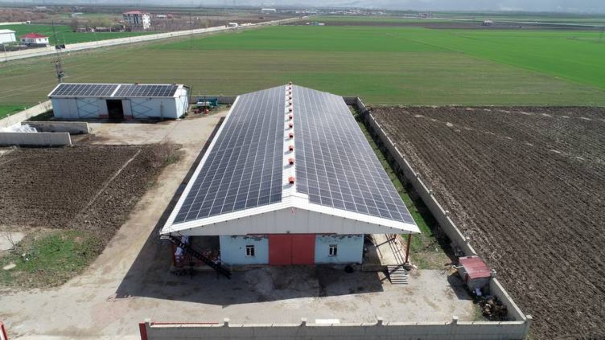 Muş’ta enerji ve et üretimi harmanlanan çiftlik
