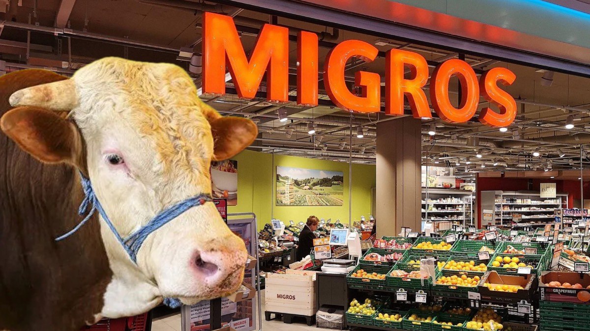 Migros kurban fiyatları 2025: Küçükbaş ve büyükbaş kurbanlık fiyatları…