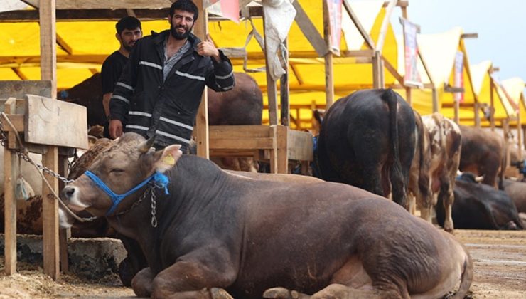 2026 Kurban Hizmetleri Tebliği yayımlandı: Kurban kesimleri için yeni kurallar