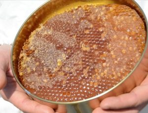 Uygunsuz balın piyasaya girişi engellenecek