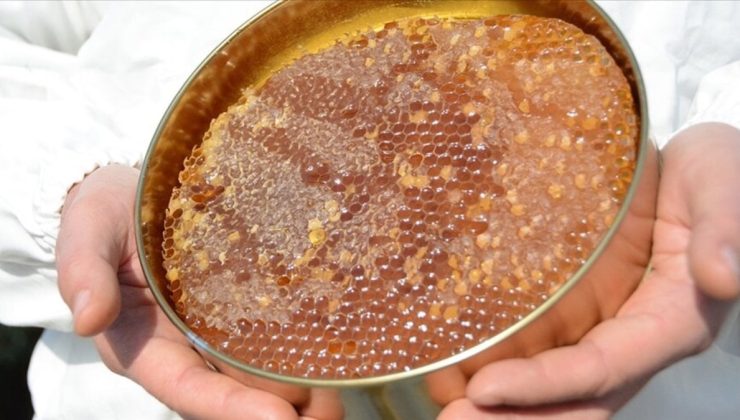 Uygunsuz balın piyasaya girişi engellenecek