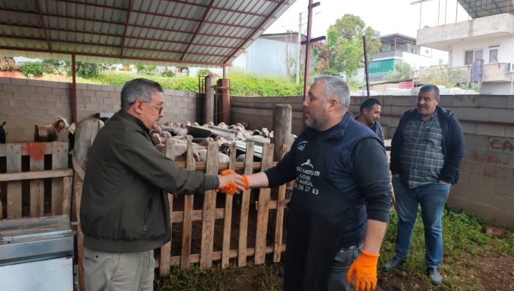 Mersin’de kurban pazarlıkları başladı