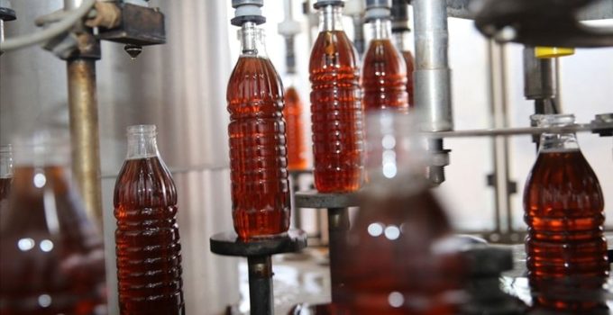 Bakanlık listeyi ifşa etti: Sirkelerde “gıda boyası” krizi! Ananas, alıç, enginar…
