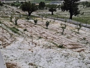 Erdemli’de yağmur ve dolu etkili oldu